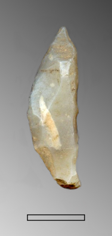 punta a dorso, totale (Paleolitico Superiore - Epigravettiano finale)