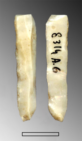 lama, a dorso (Paleolitico Superiore - Epigravettiano finale)