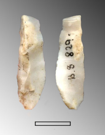 lama, a dorso (Paleolitico Superiore - Epigravettiano finale)