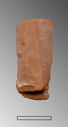 lama (Paleolitico superiore)