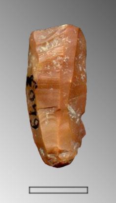 lama (Paleolitico superiore)