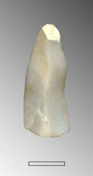 lama (Paleolitico superiore)