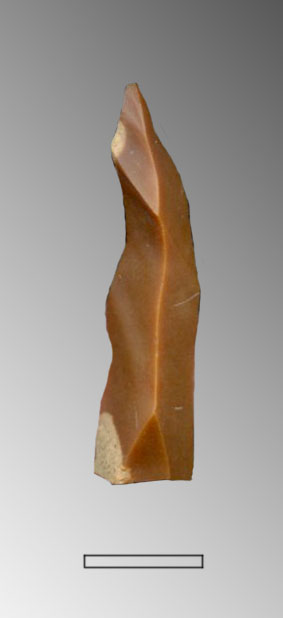 lama (Paleolitico superiore)