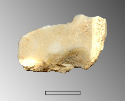raschiatoio denticolato, trasversale (Paleolitico superiore)