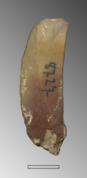 lama-raschiatoio (Paleolitico superiore)