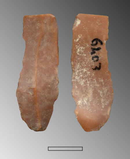 raschiatoio denticolato (Paleolitico superiore)
