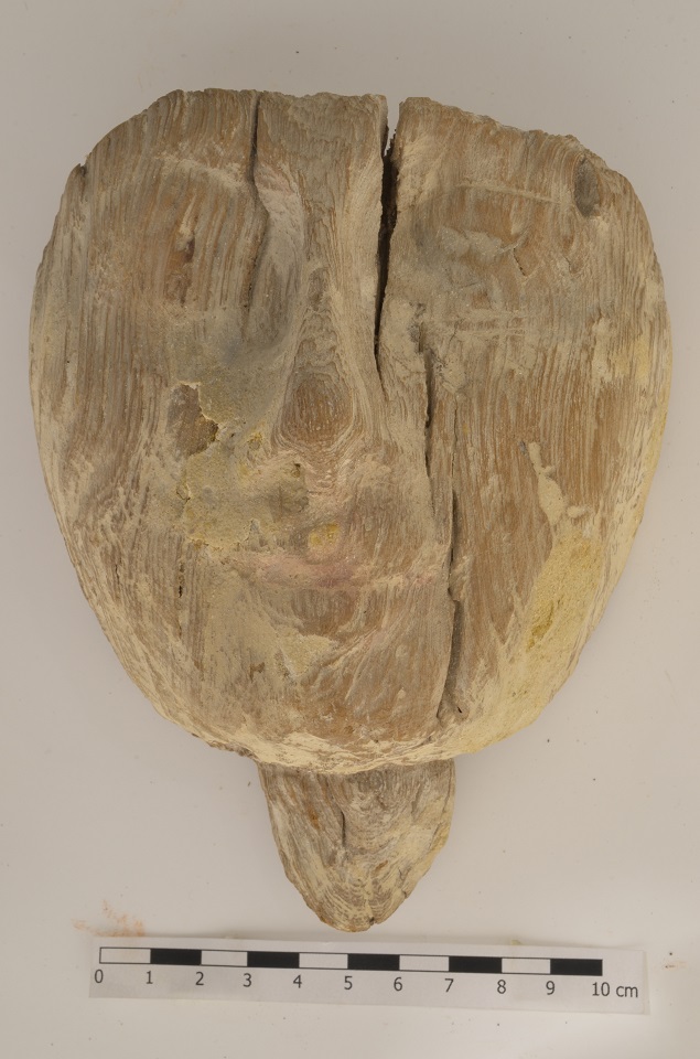 statua, volto (II millennio a.C)