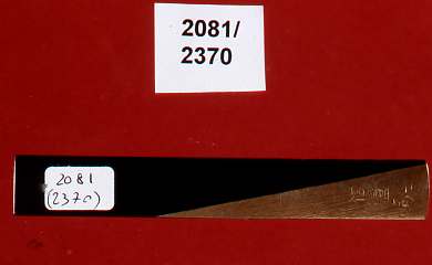 iscrizione (impugnatura di arma bianca, elemento d'insieme) di Ikkeisha Nobuyoshi (secc. XVI/ XIX)