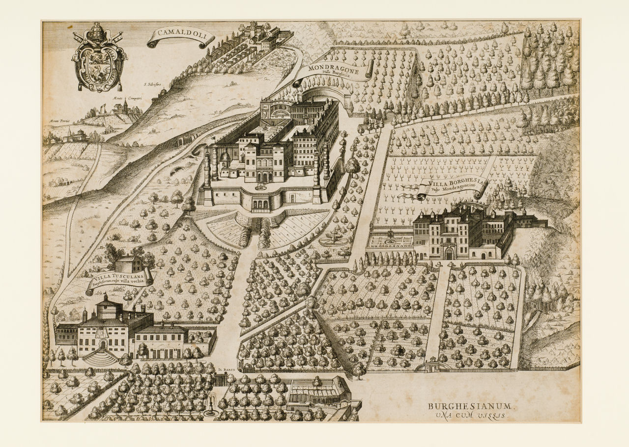 Veduta generale della Città di Frascati con le Ville Tuscolane circostanti, Veduta generale della Città di Frascati con le Ville Tuscolane circostanti (stampa composita, stampa composita) di Kircher Athanasius (sec. XVII)