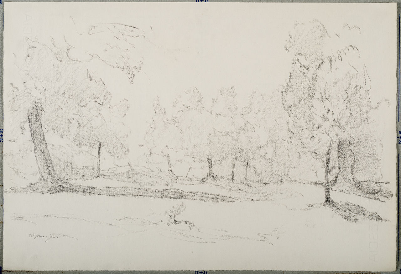 Frascati - Paesaggio con alberi, Frascati - Paesaggio con alberi (disegno) di Prencipe Umberto (metà sec. XX)