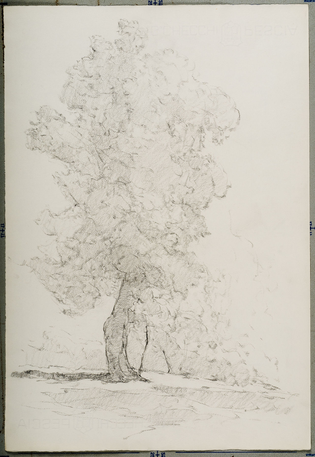 Frascati - Paesaggio con un albero in primo piano, Frascati - Paesaggio con un albero in primo piano (disegno) di Prencipe Umberto (metà sec. XX)