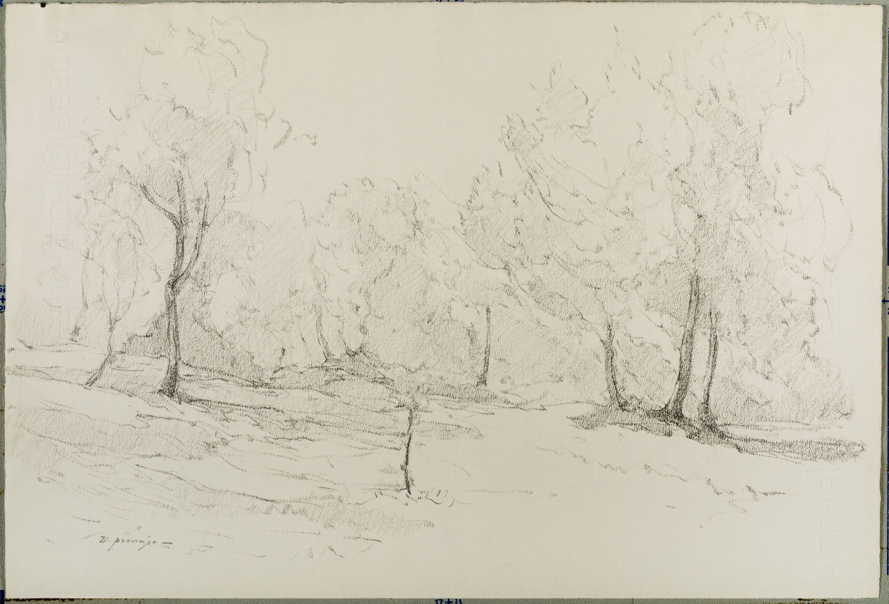 Frascati - Paesaggio con alberi, Frascati - Paesaggio con alberi (disegno, serie) di Prencipe Umberto (metà sec. XX)