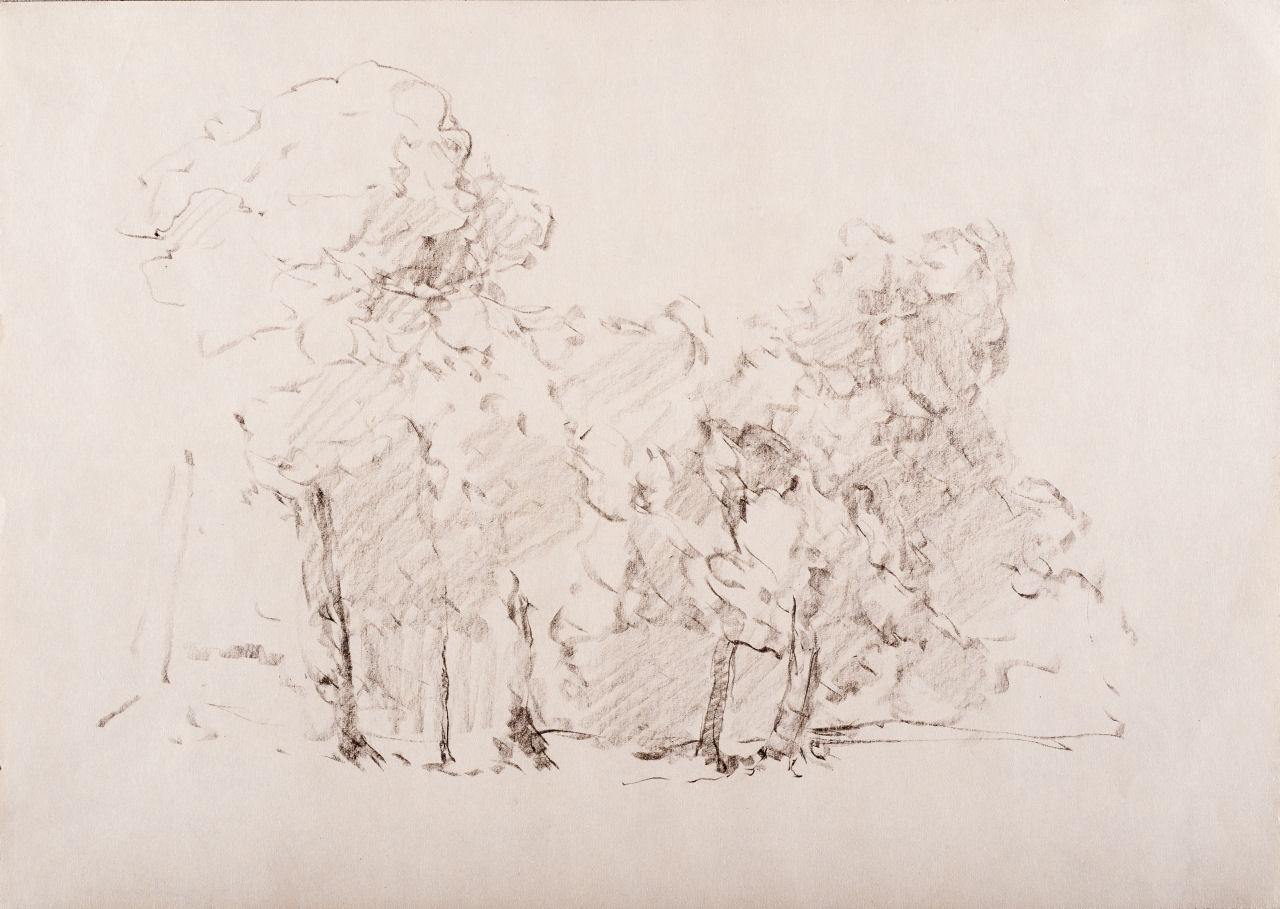 Frascati - Alberi, Frascati - Alberi (disegno, serie) di Prencipe Umberto (metà sec. XX)