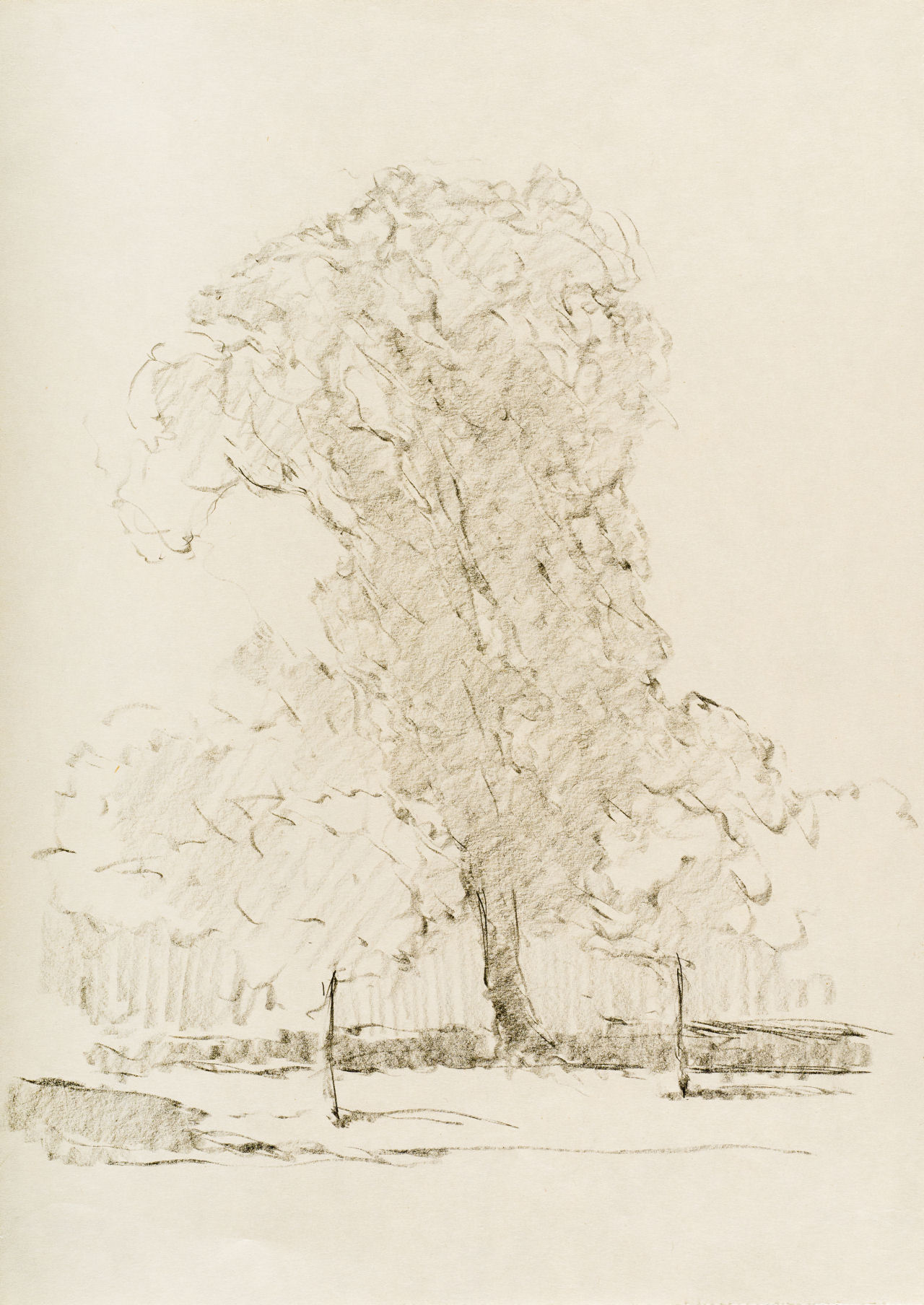 Frascati - Paesaggio con alberi, Frascati - Paesaggio con alberi (disegno, serie) di Prencipe Umberto (metà sec. XX)