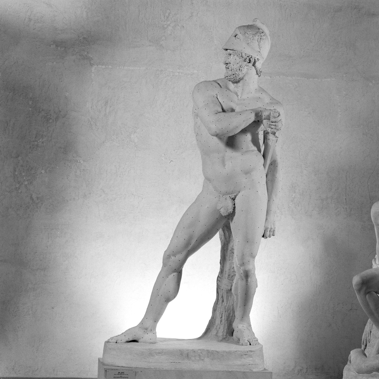 Aiace (statua) di Canova Antonio (sec. XIX)