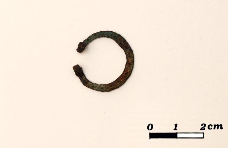 fibula - Periodo Longobardo (VII)