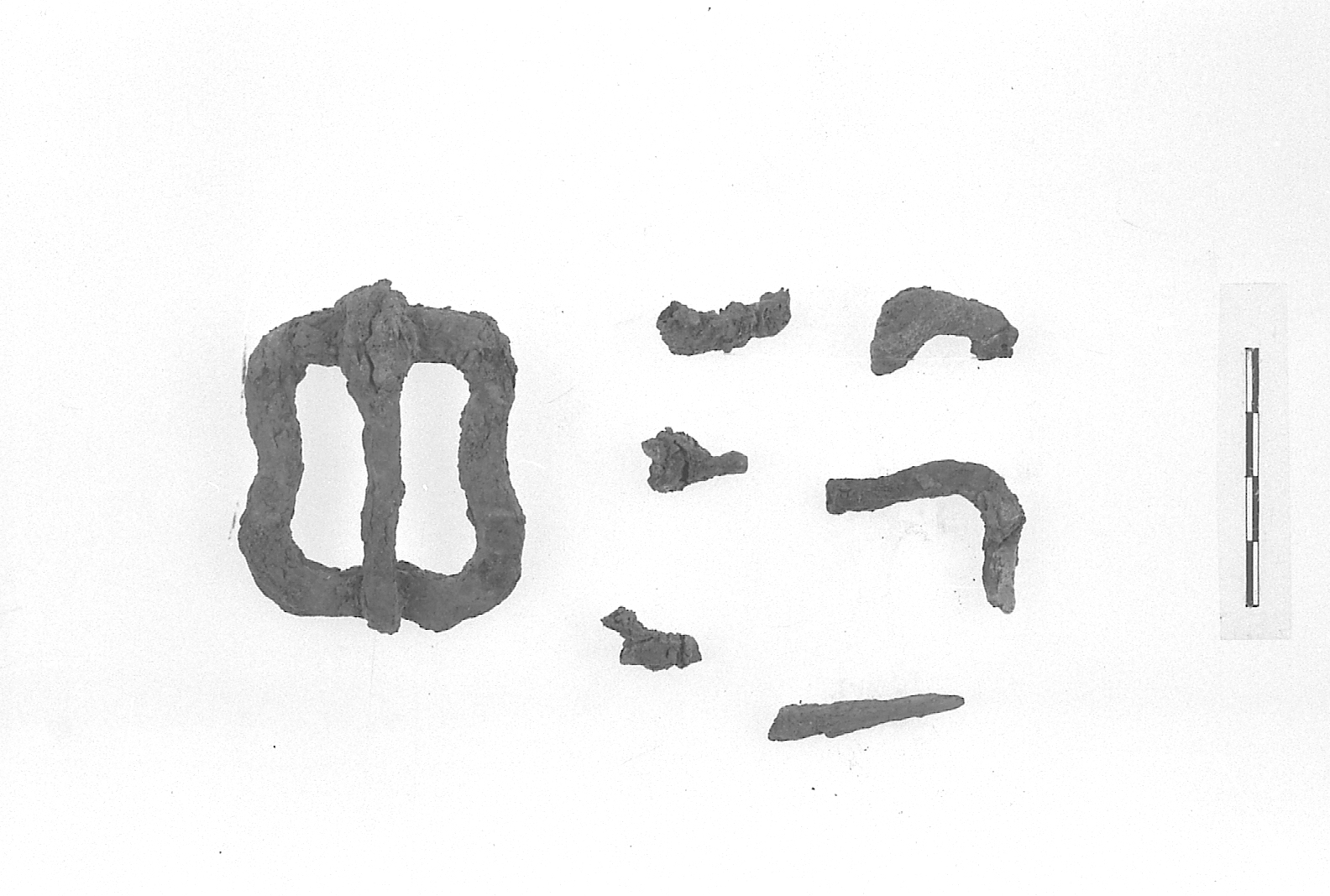 fibbia - Periodo Longobardo (VII)