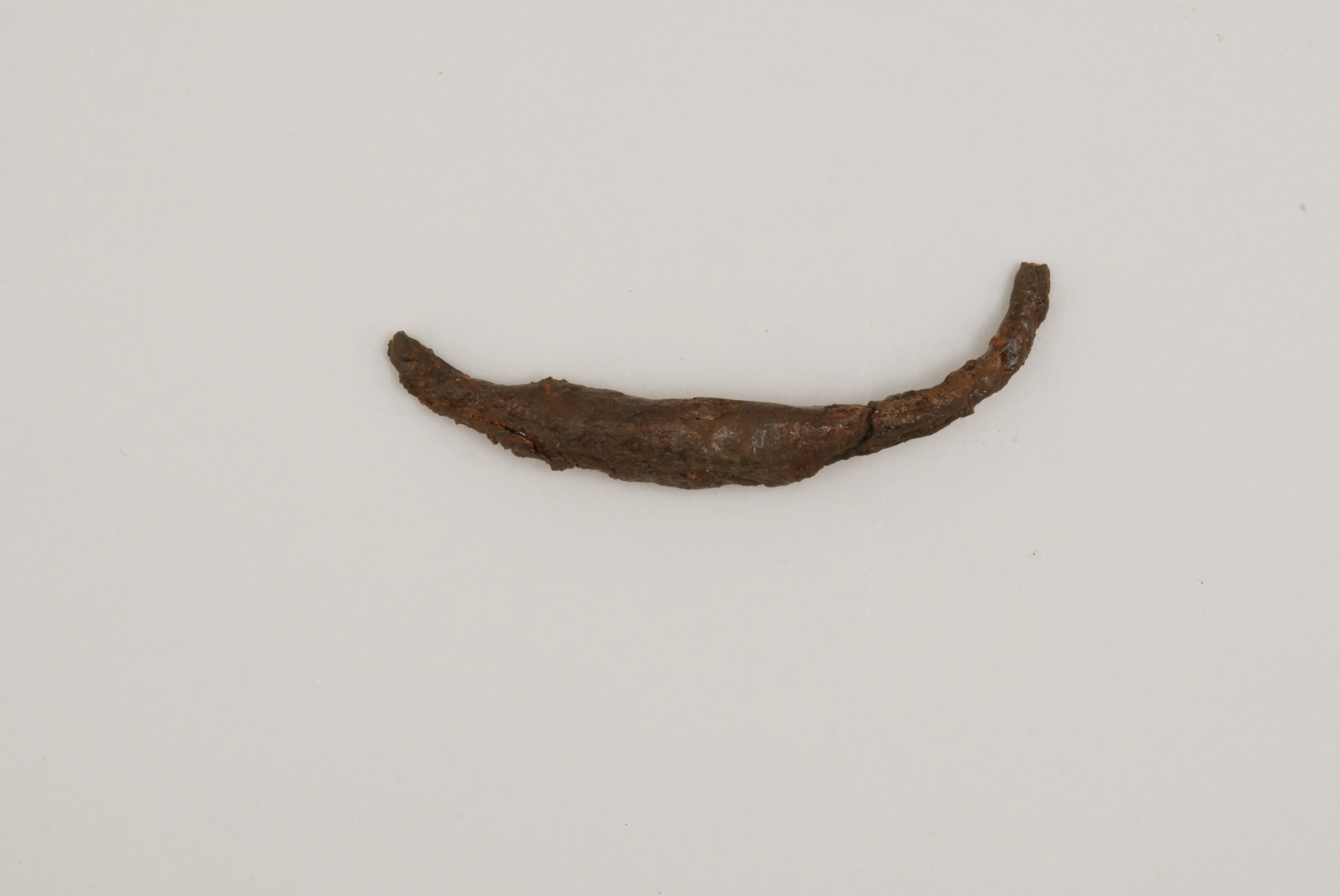 elemento ricurvo - produzione locale (sec. VII d.C)