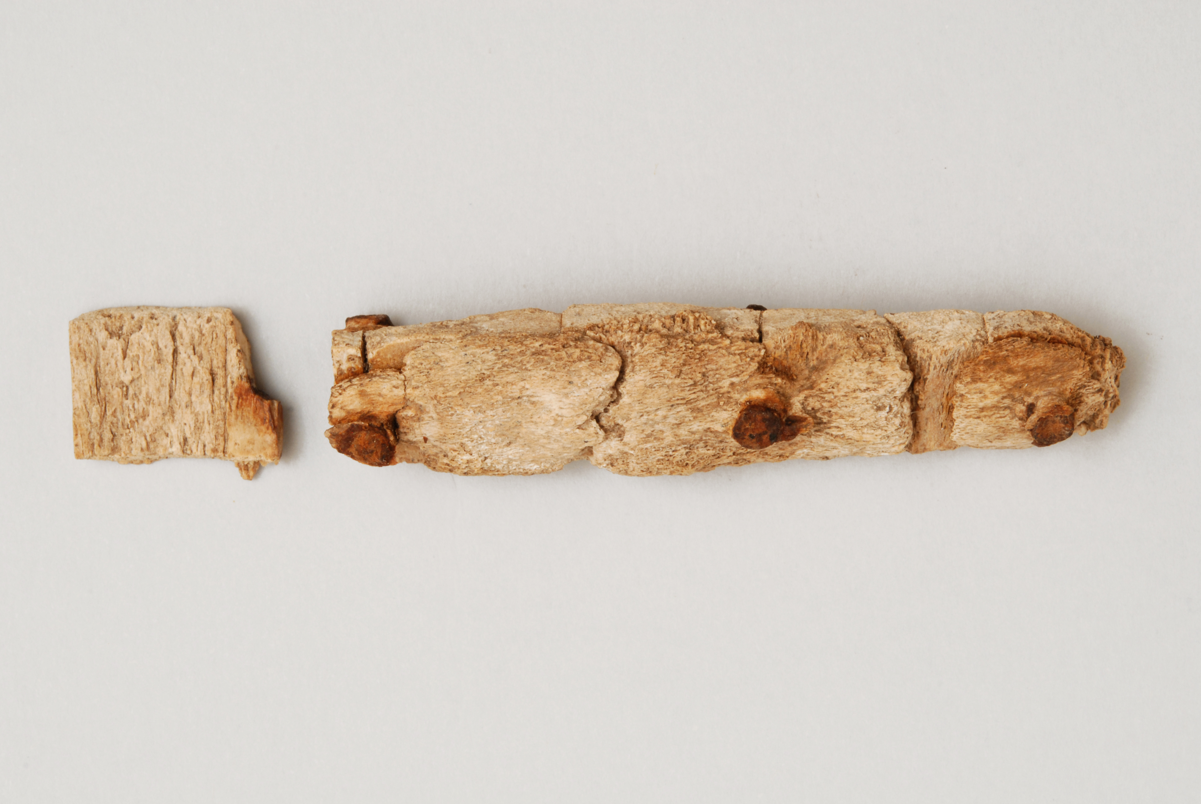 Pettinino, a doppia fila di denti - tardo-romano (seconda metà sec. VII d.C)