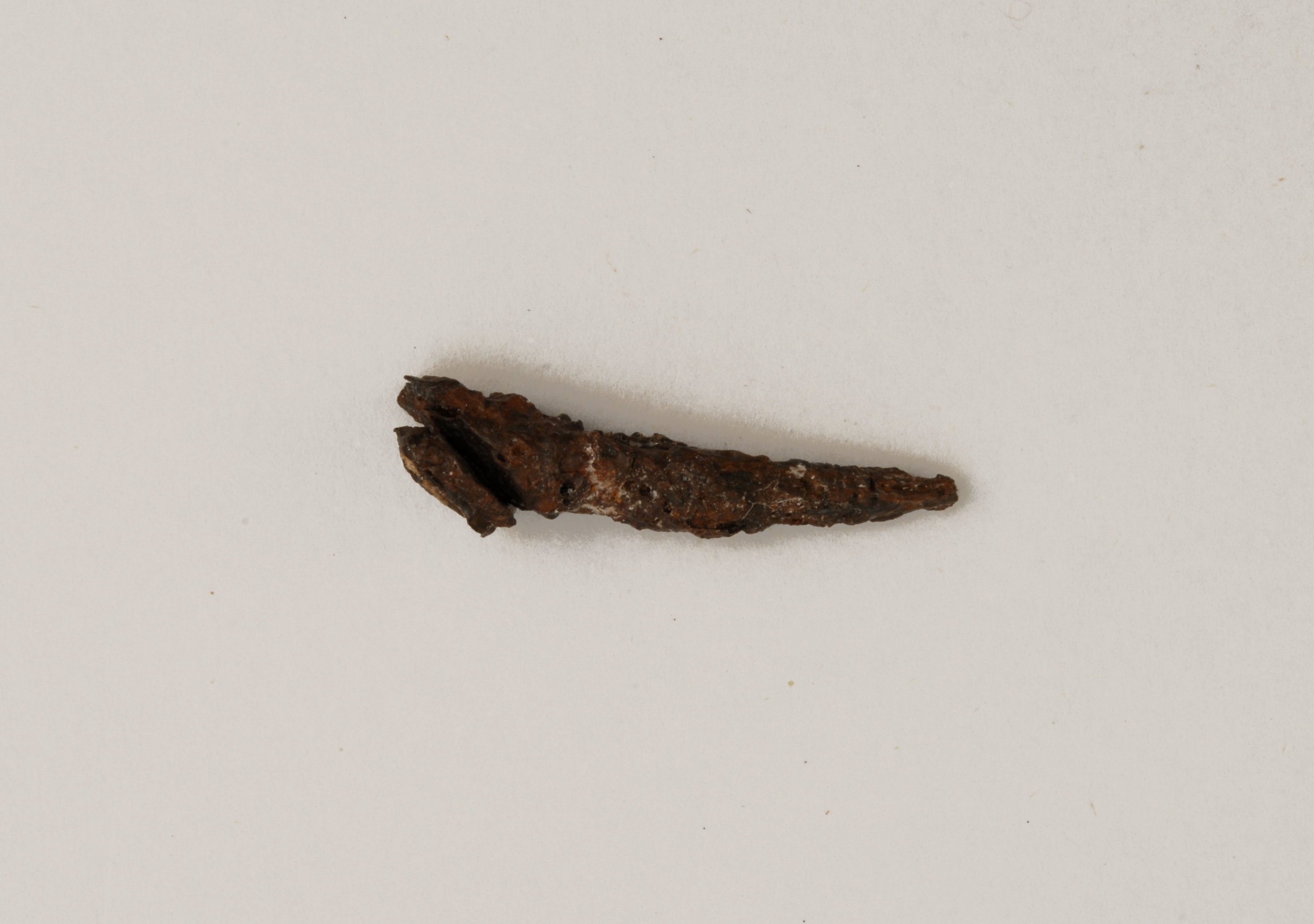 ardiglione di fibbia per cintura - tardo-romano (sec. VII d.C)