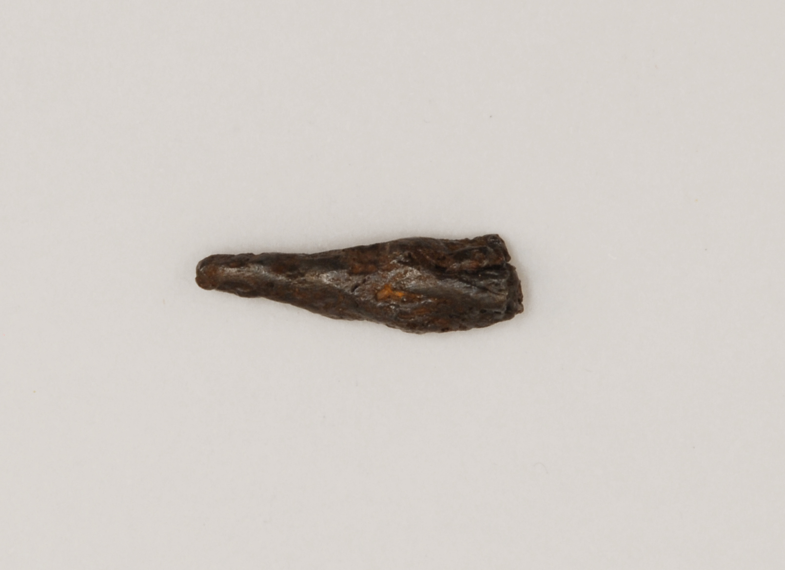 frammento - ambito romano-barbarico (sec. VII d.C)