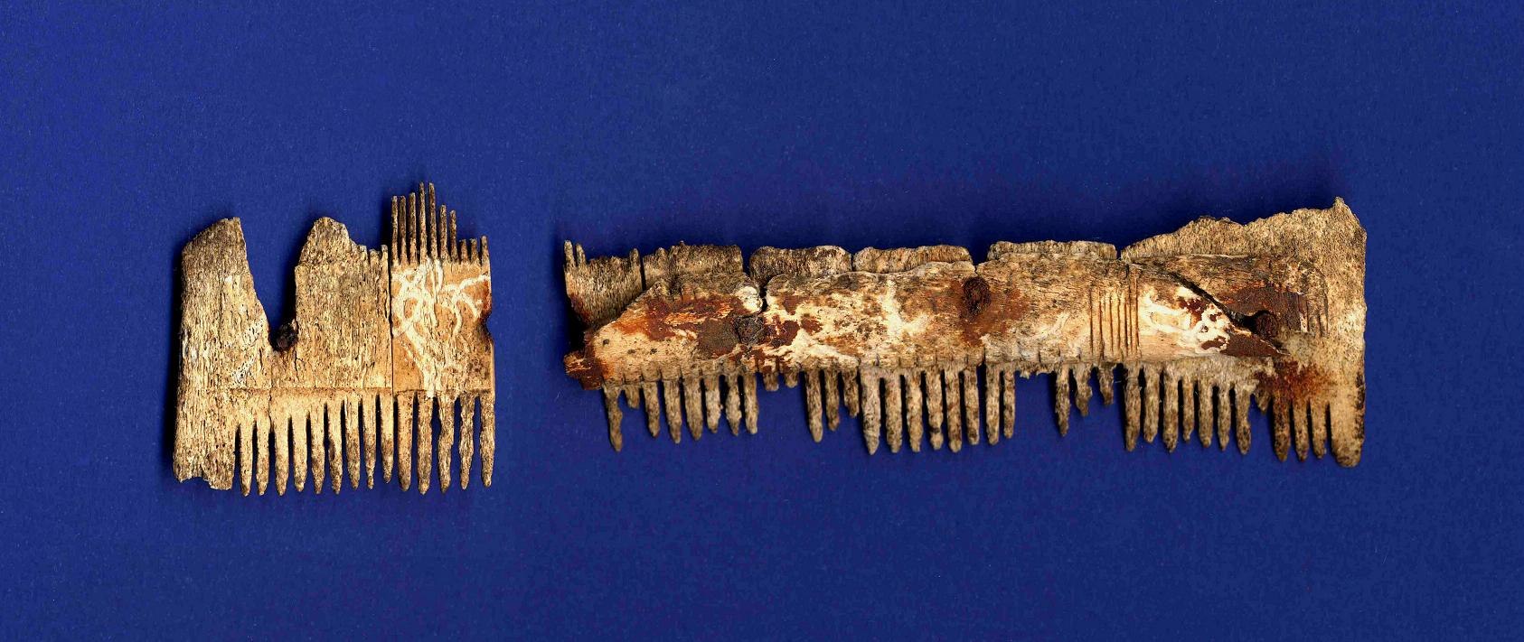 pettine - ambito longobardo (prima metà sec. VII d.C)