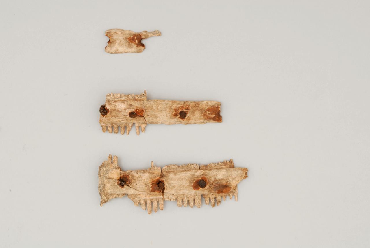 pettine - ambito longobardo (prima metà sec. VII d.C)