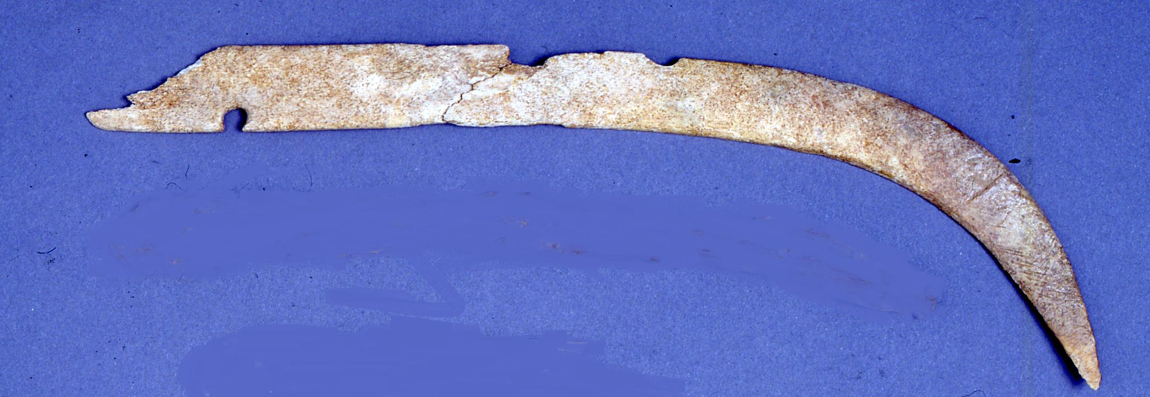 frammento di arco - koinè avara (terzo quarto sec. VII d.C)