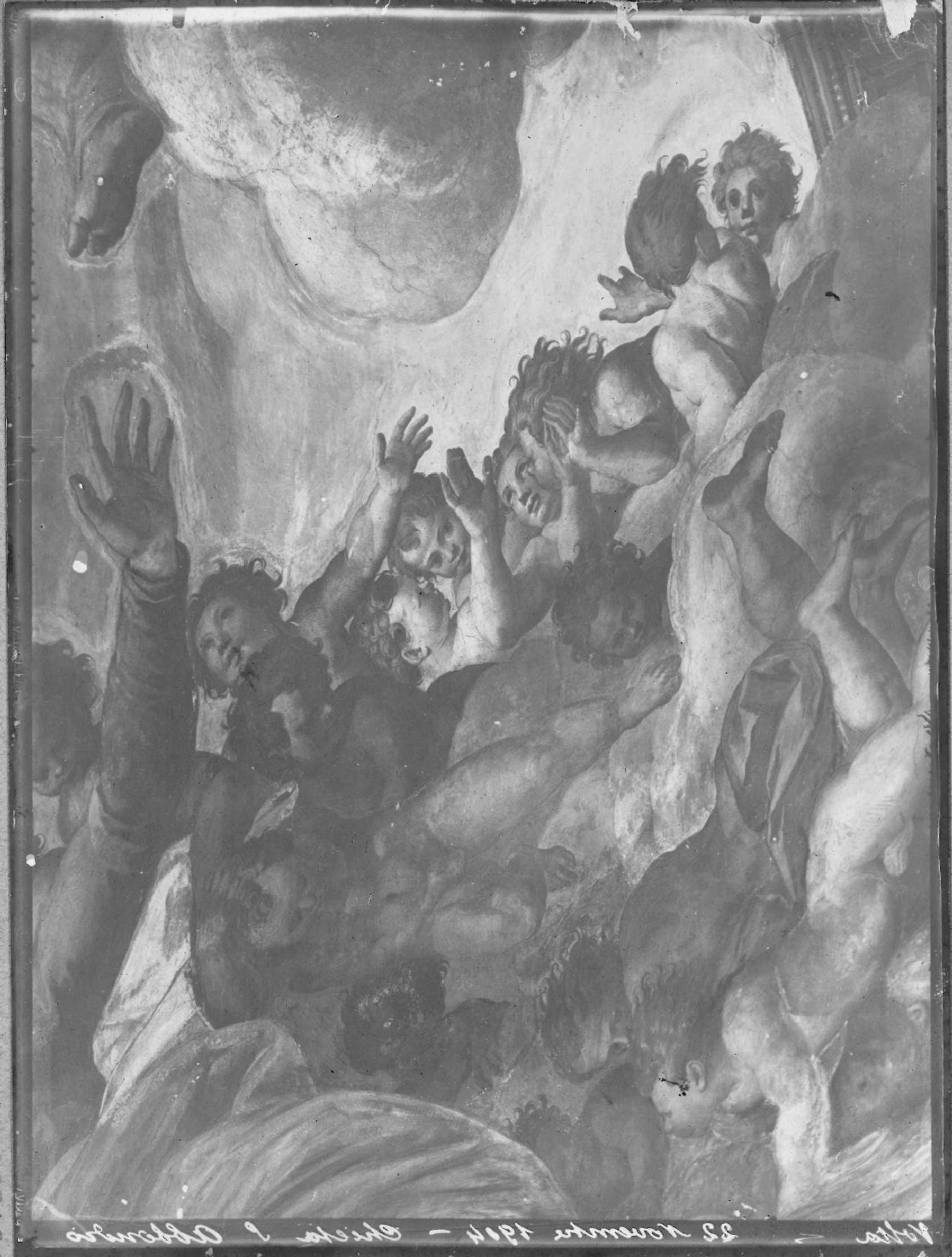 Cremona - Architettura - Chiese - Chiesa di Sant'Abbondio - Volta (positivo) di Anonimo (XX)