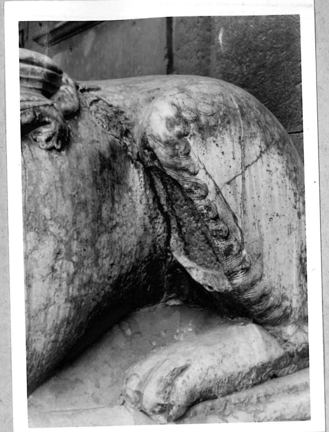 Architettura – Chiese –Scultura - Cremona (positivo) di Anonimo (XX)