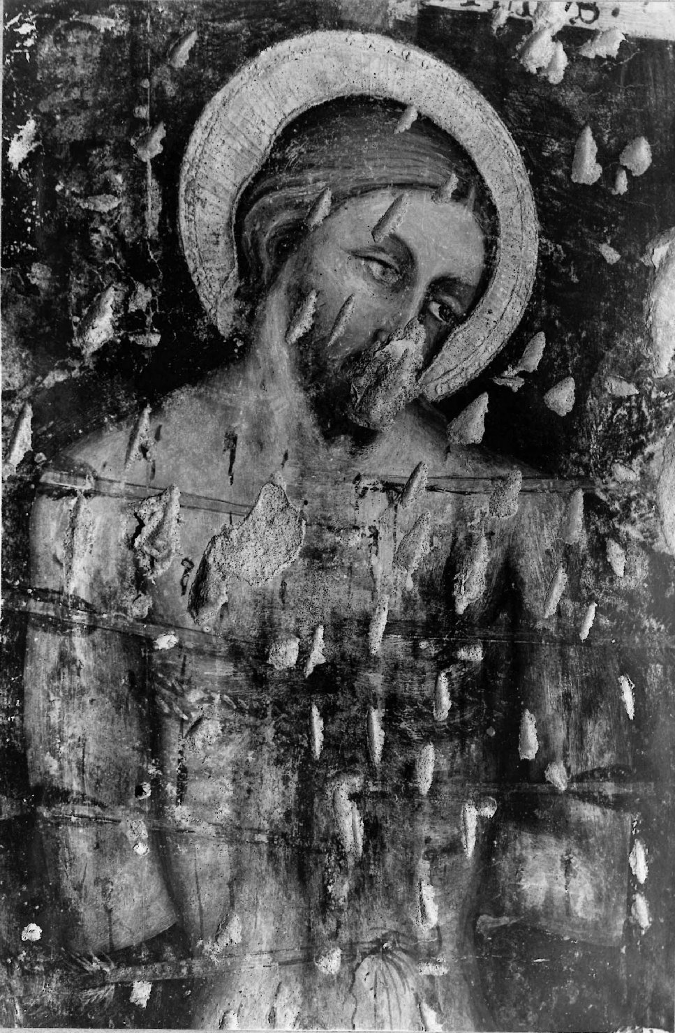 Architettura - Chiese - Cremona (positivo) di Fazioli, Ernesto (studio) (prima metà XX)