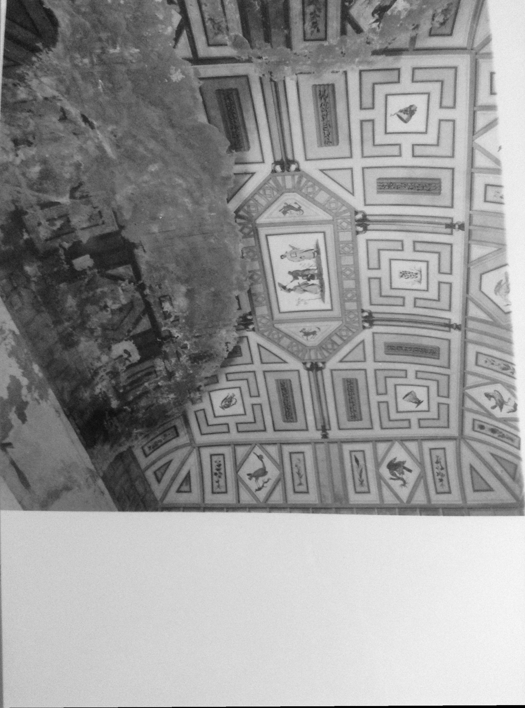 motivi decorativi a cassettoni, con cineserie, strumenti musicali, uccelli (pittura murale, complesso decorativo) - ambito toscano (seconda metà XVIII)