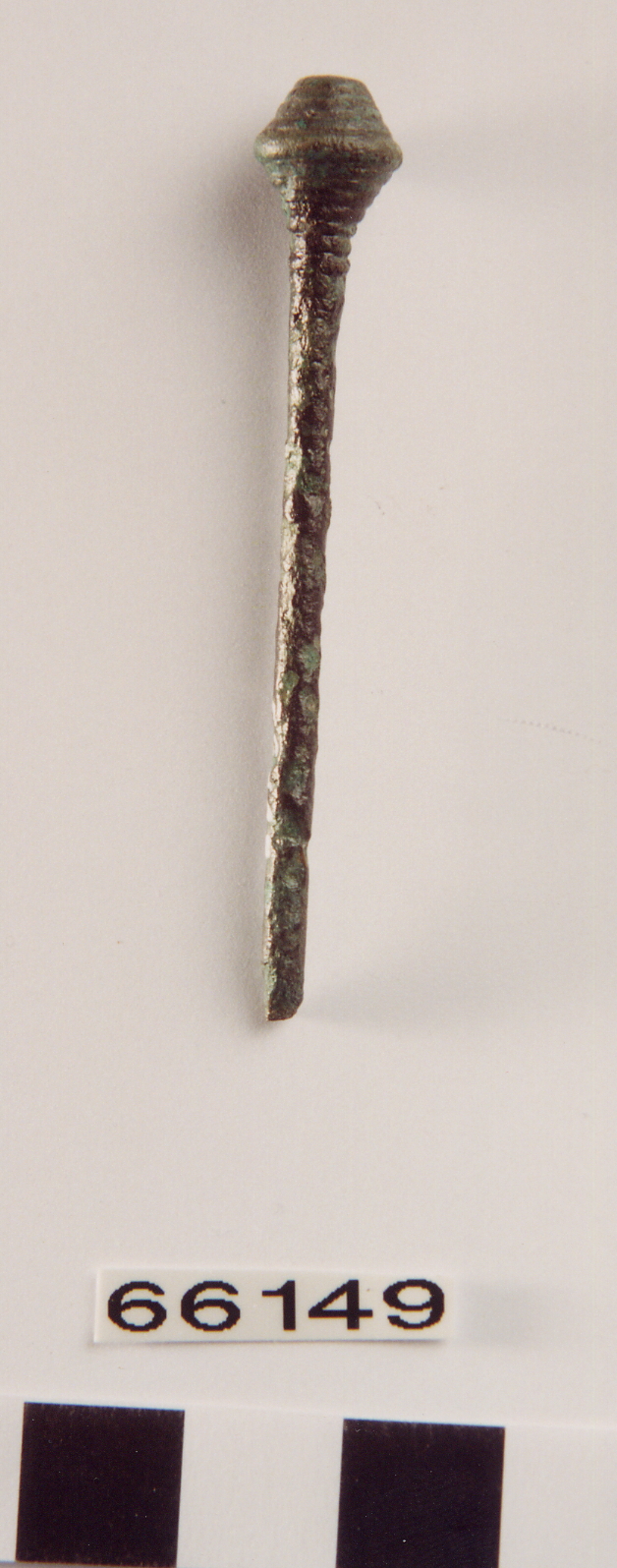 spillone con capocchia biconica, Carancini, tipo MezzoCorona varietà A - ambito terramaricolo (età del Bronzo Recente)