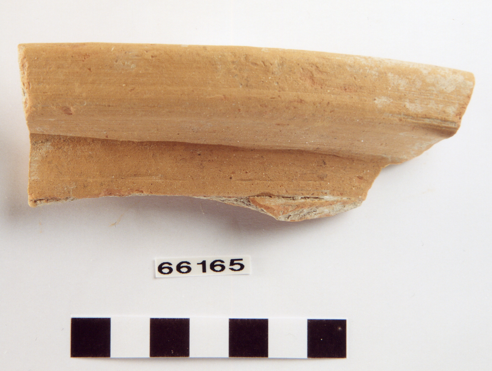 dolio/ frammento (sec. VI a.C)