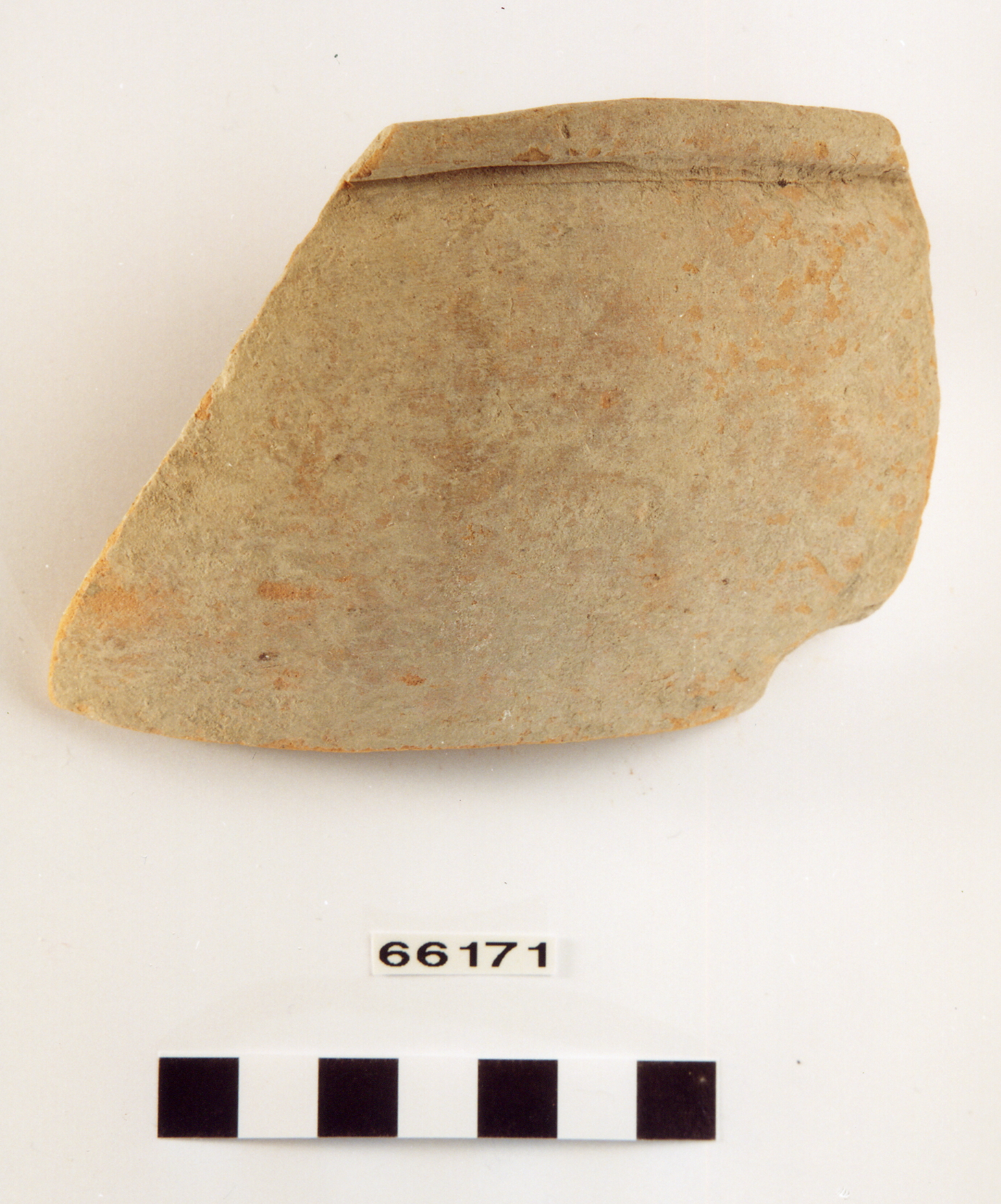 scodella/ frammento (fine sec. VI a.C)