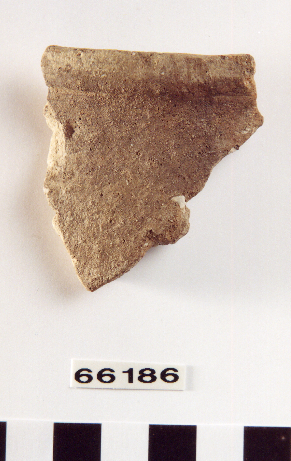 olla/ frammento (secc. VI-V a.C)