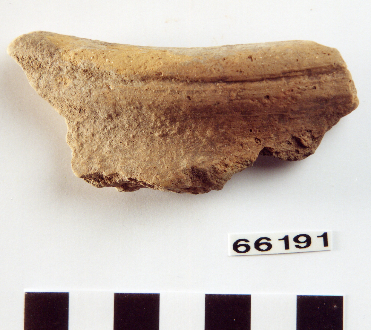 olla/ frammento (secc. VI-V a.C)