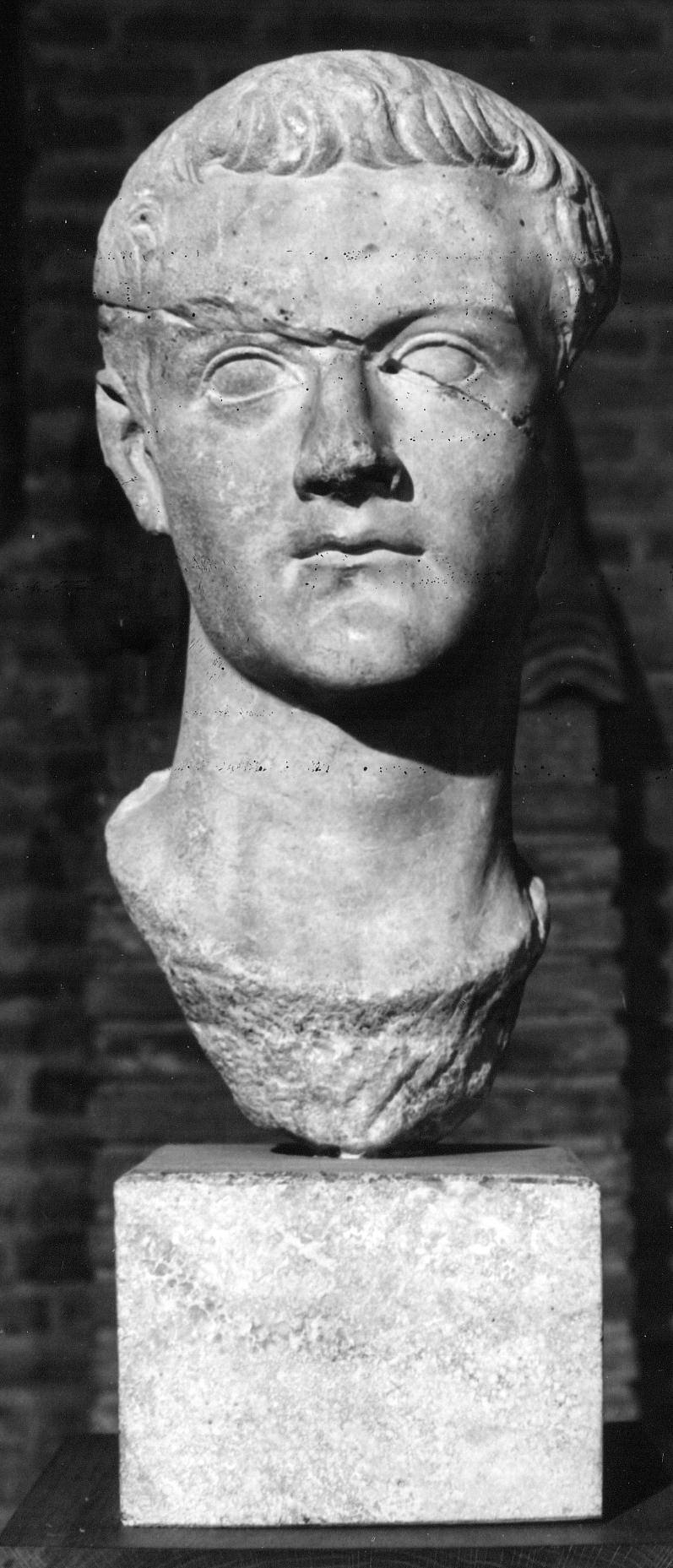 Caligola (testa ritratto di statua, ritratto di Caligola) - età giulio-claudia (secondo quarto sec. I d.C)