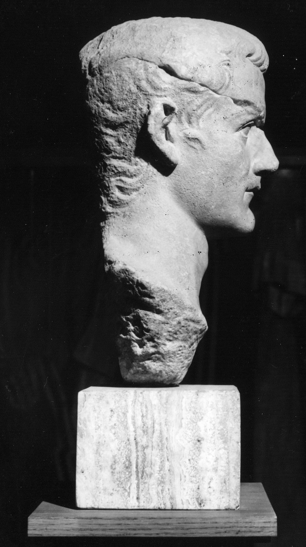 Caligola (testa ritratto di statua, ritratto di Caligola) - età giulio-claudia (secondo quarto sec. I d.C)