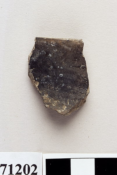 orlo di ciotola carenata - età del Bronzo medio 2/protoappenninico (sec. XV a.C)