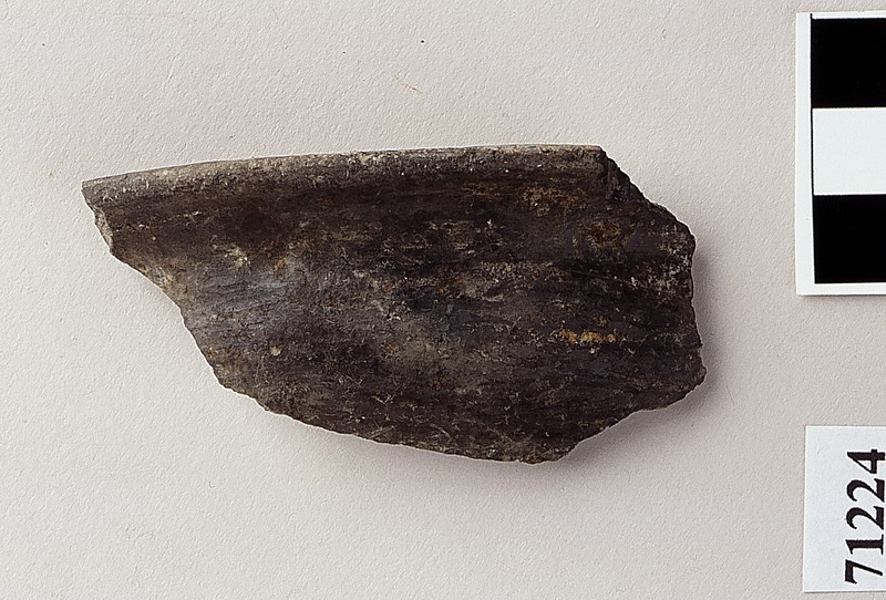 ciotola a carena arrotondata - età del Bronzo recente/subappenninico (sec. XIV a.C)