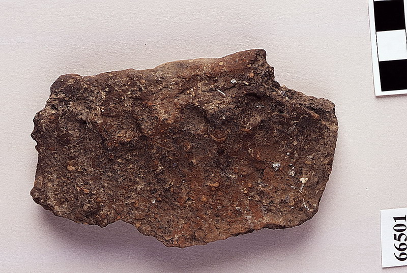 orlo di olla cilindrica - eneolitico/bronzo antico, età del Bronzo recente/subappenninico (sec. XIII a.C)