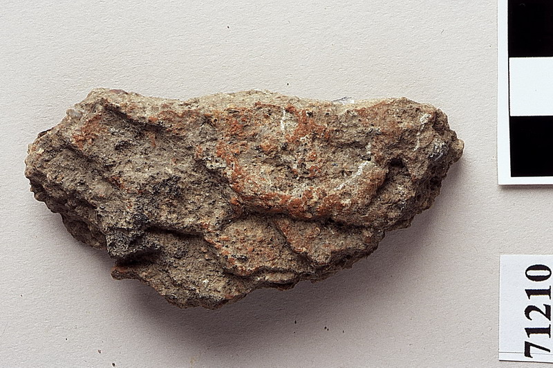 parete di non id - eneolitico/bronzo antico (eneolitico/bronzo antico)