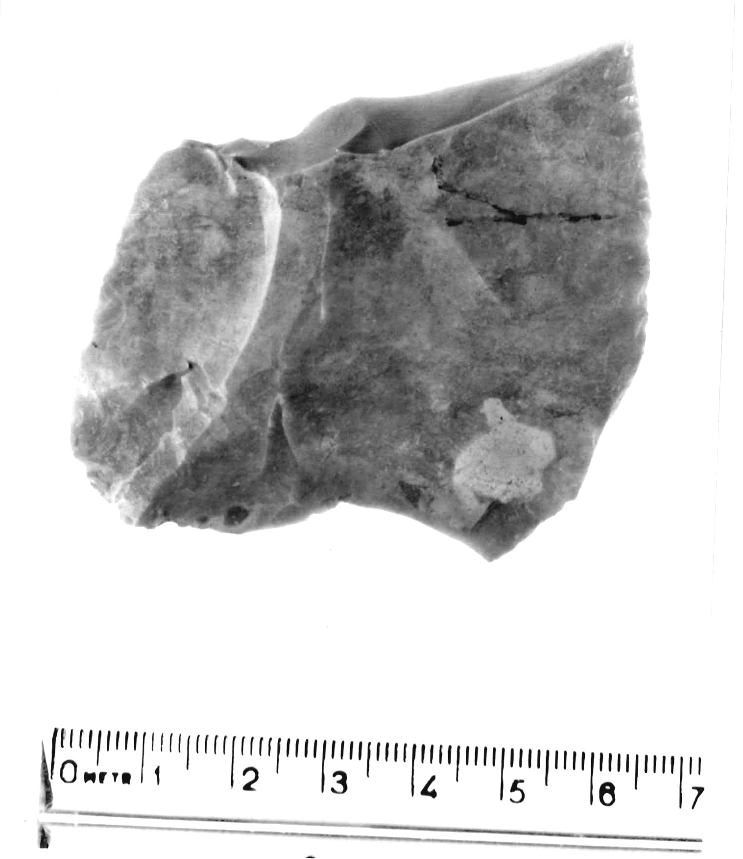 raschiatoio laterale - musteriano (paleolitico medio)