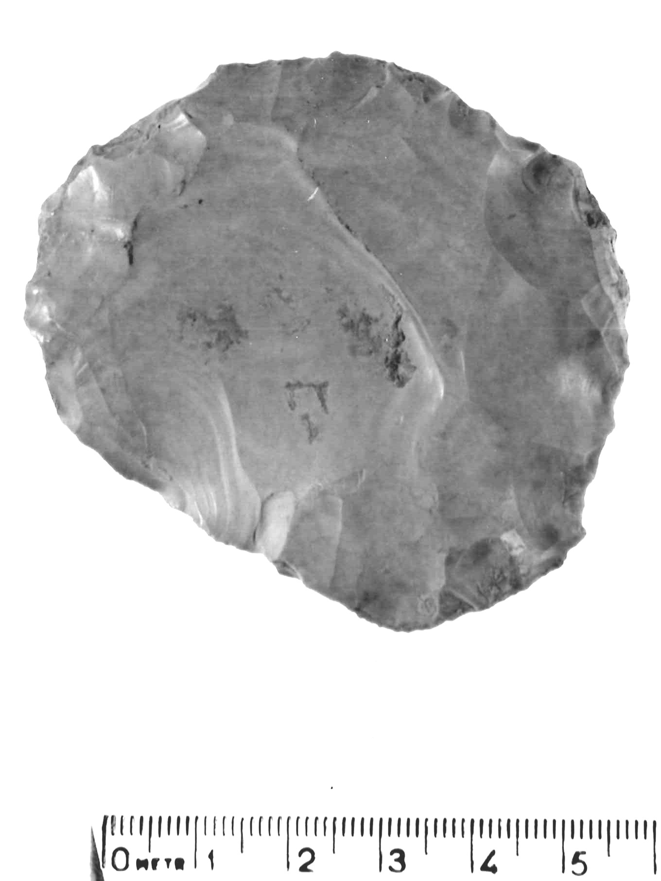 nucleo discoidale - musteriano (paleolitico medio)
