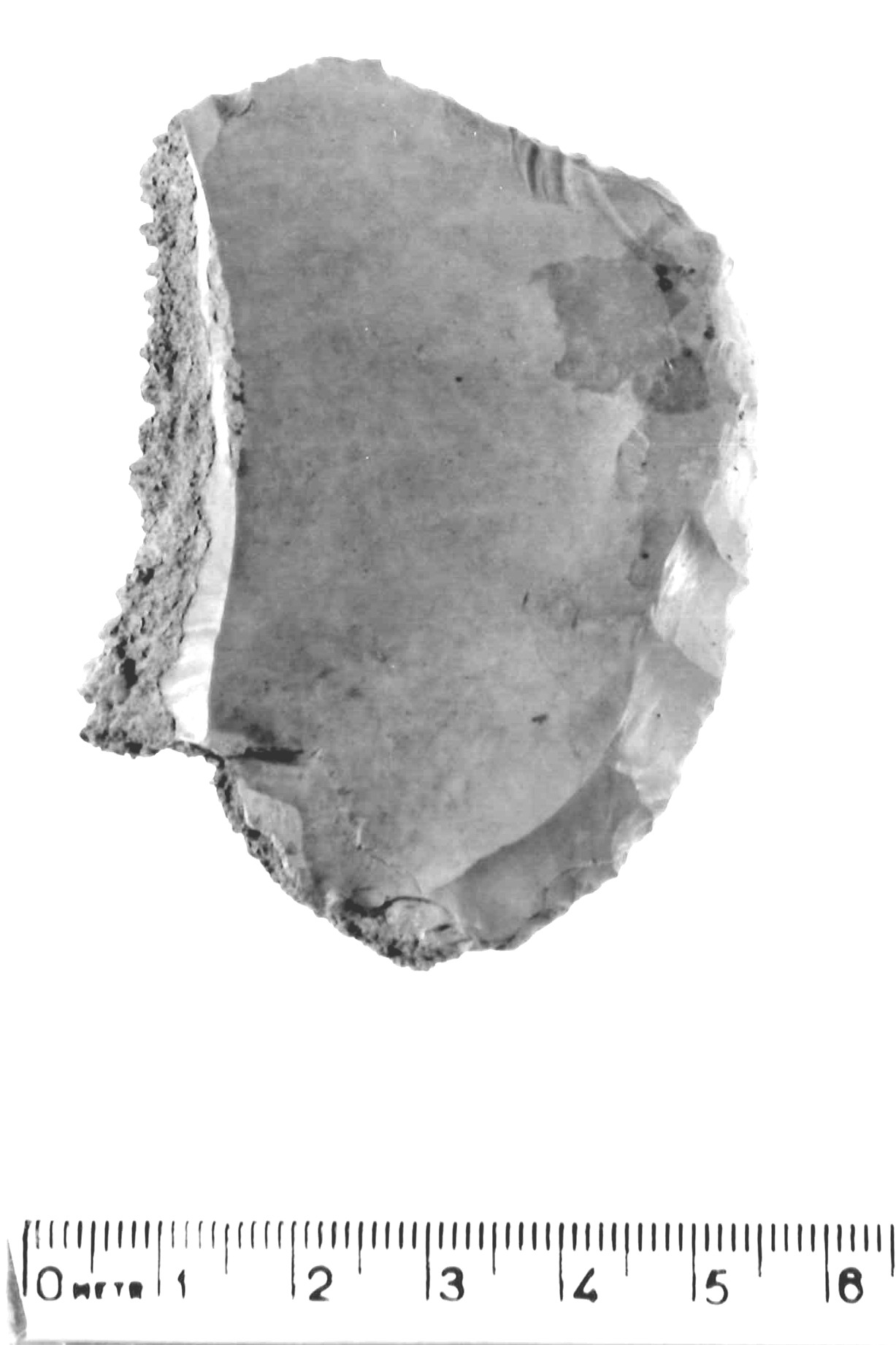 raschiatoio laterale - musteriano (paleolitico medio)