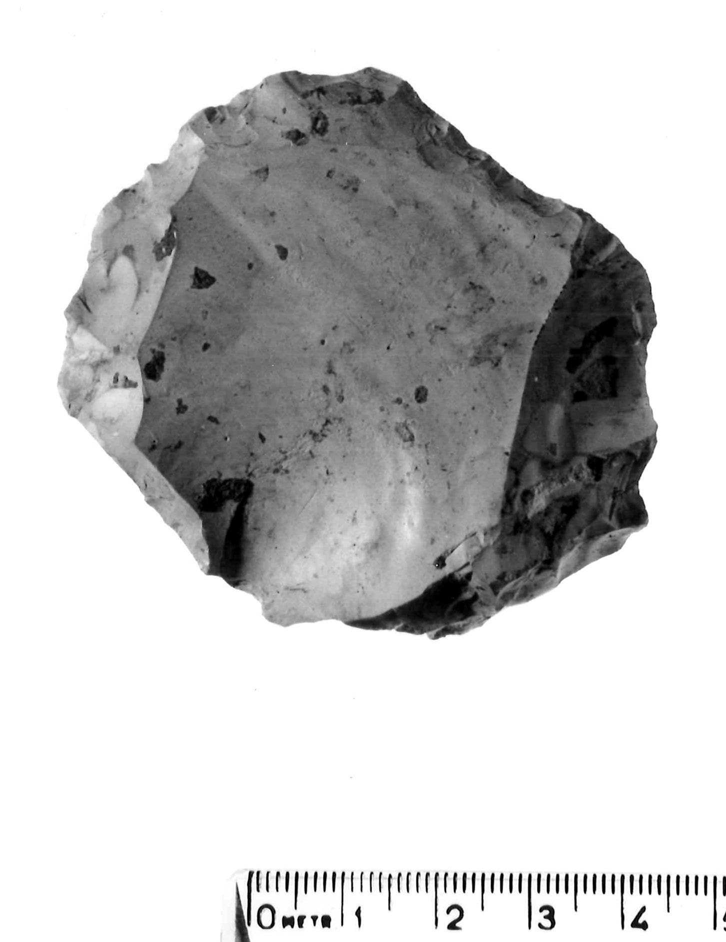 nucleo Levallois - musteriano (paleolitico medio)