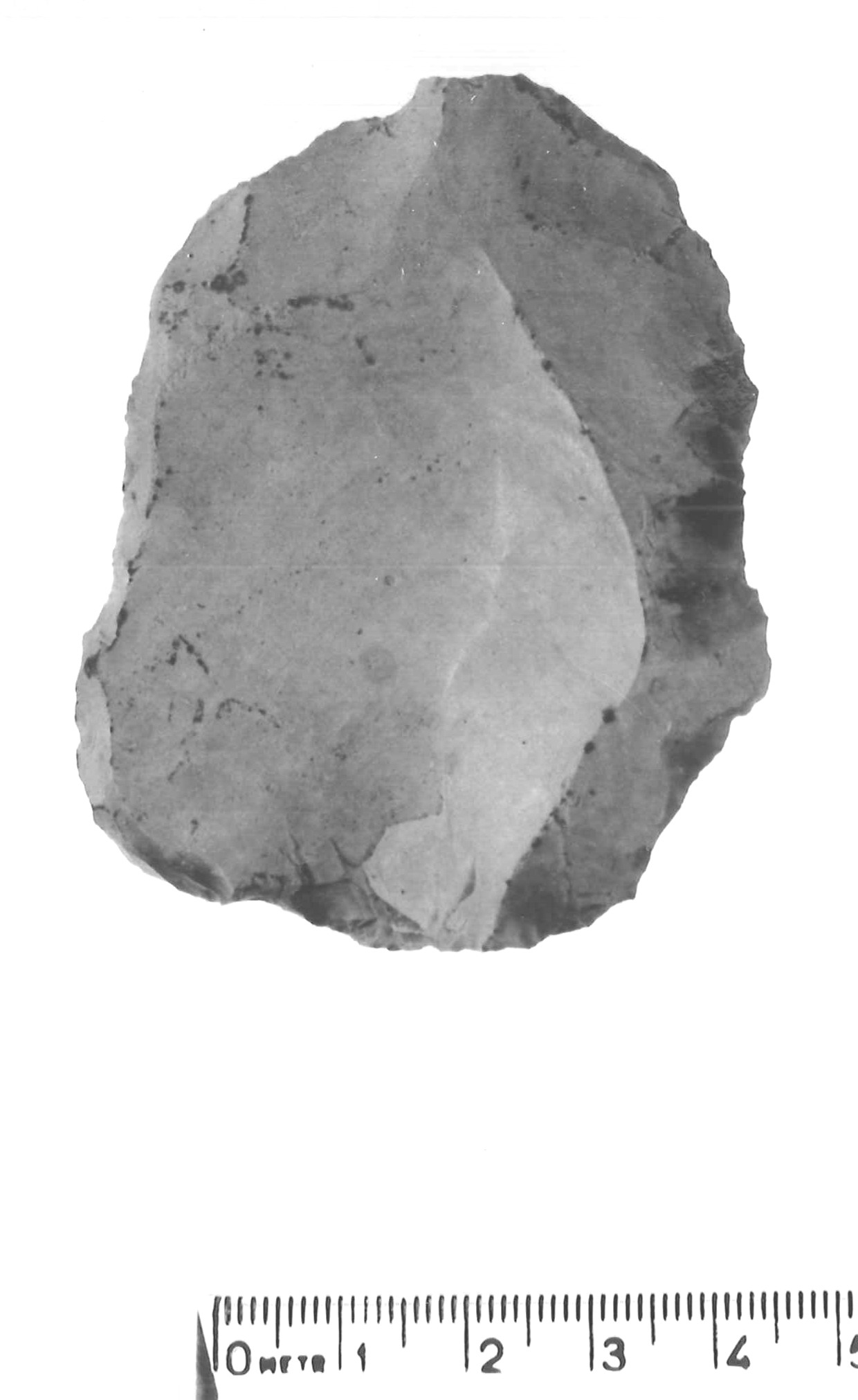 nucleo Levallois - musteriano (paleolitico medio)