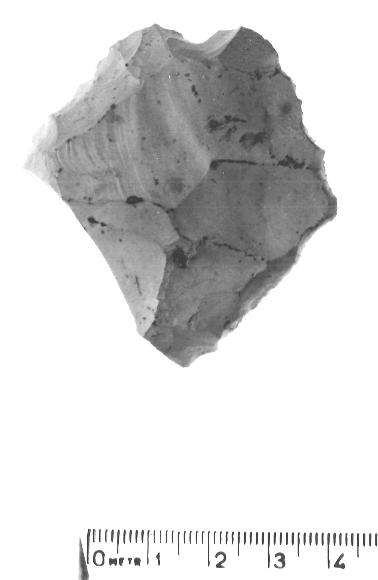 raschiatoio laterale - musteriano (paleolitico medio)