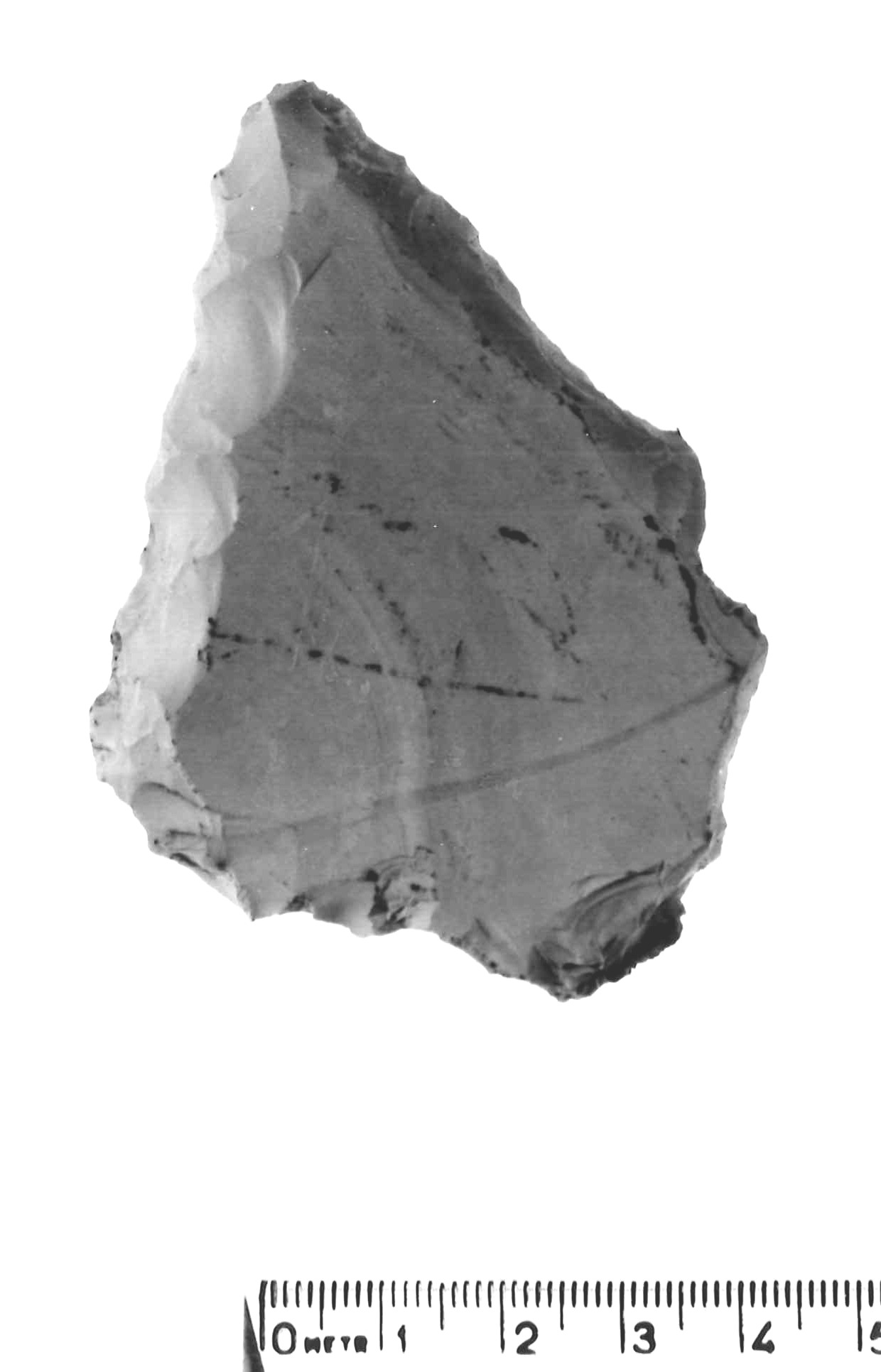raschiatoio latero-trasversale - musteriano (paleolitico medio)